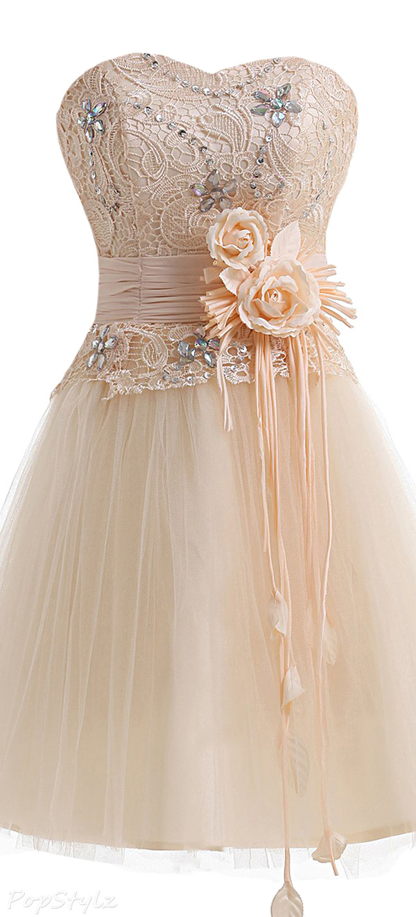 Sunvary Sweety Tulle & Lace Mini Party Dress